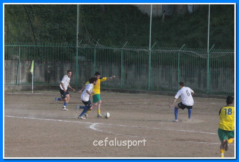 130406 delfini 120_tn.jpg